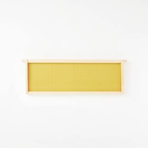 Medium super frame with foundation