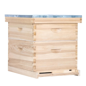 10 frame Hive