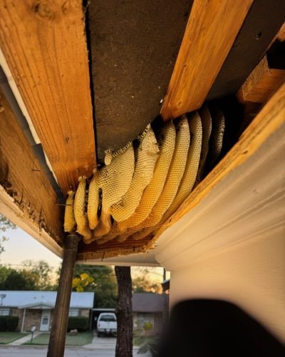 288824b4cee3403f883643909eecdc6e