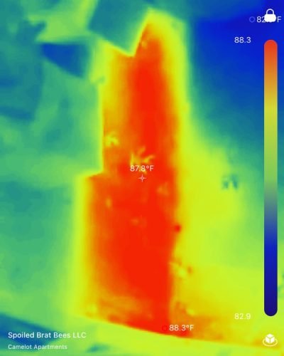 589efc8a1e714cdc82e9a4f48f0fb553