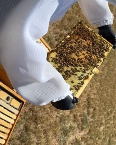 5ce48d44076441c28f9c9c869cb34230